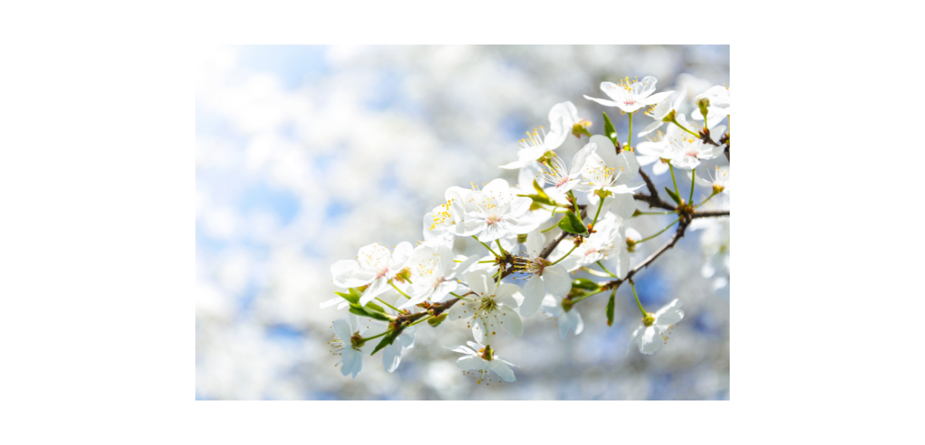 Passaggio alla Primavera